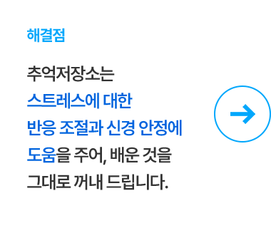 해결점 스트레스에 대한 반응조절과 신경 안정에 도움