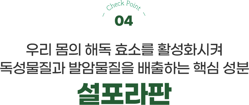 체크포인트4 해독 효소를 활성화시켜 독성,발암물질을 배출하는 핵심 성분 설포라판
